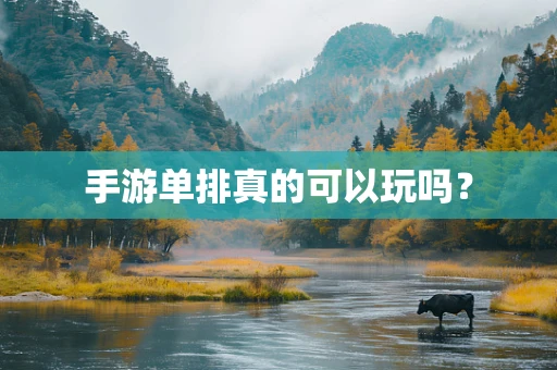 手游单排真的可以玩吗？