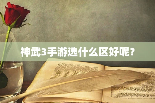 神武3手游选什么区好呢？