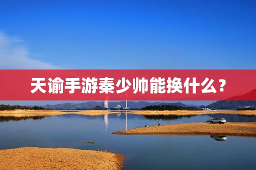 天谕手游秦少帅能换什么？