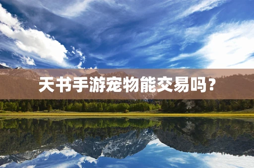 天书手游宠物能交易吗？