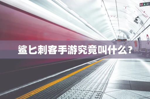 鲨匕刺客手游究竟叫什么？