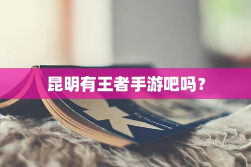 昆明有王者手游吧吗？