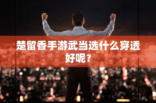 楚留香手游武当选什么穿透好呢？