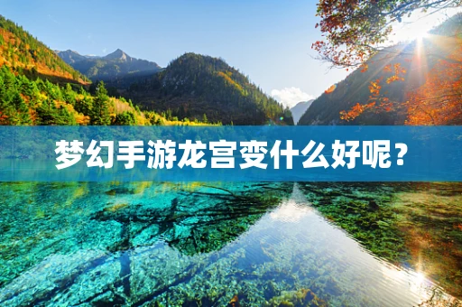 梦幻手游龙宫变什么好呢？