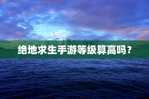 绝地求生手游等级算高吗？
