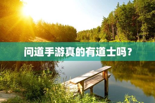 问道手游真的有道士吗？
