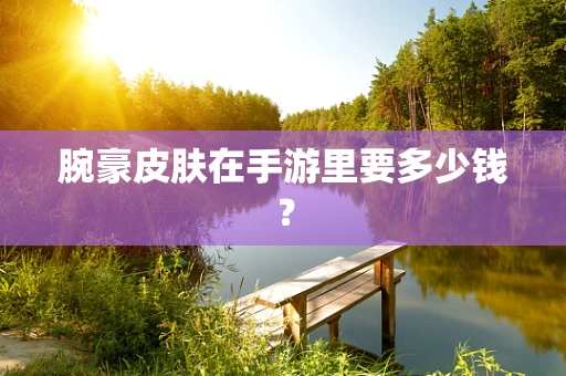 腕豪皮肤在手游里要多少钱？