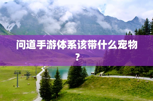问道手游体系该带什么宠物？