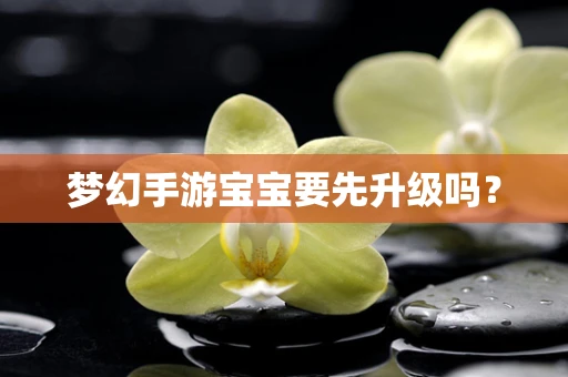 梦幻手游宝宝要先升级吗？