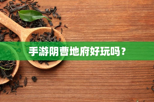 手游阴曹地府好玩吗？