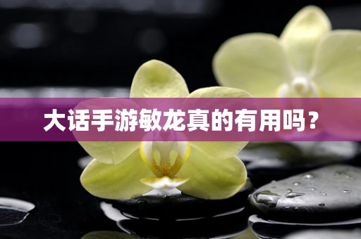 大话手游敏龙真的有用吗？