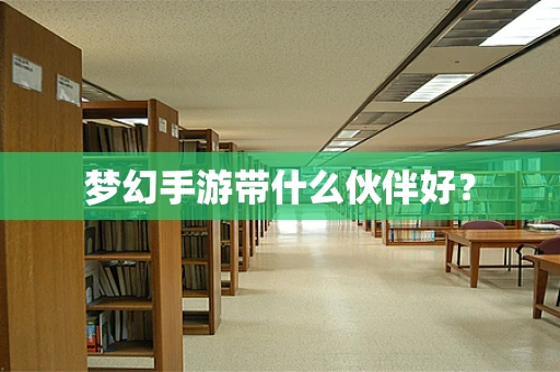 梦幻手游带什么伙伴好？