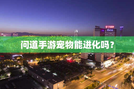 问道手游宠物能进化吗？