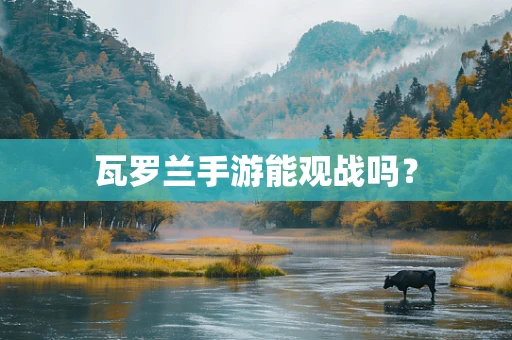 瓦罗兰手游能观战吗？