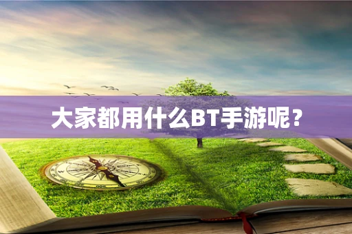 大家都用什么BT手游呢？