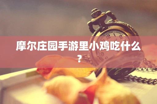 摩尔庄园手游里小鸡吃什么？