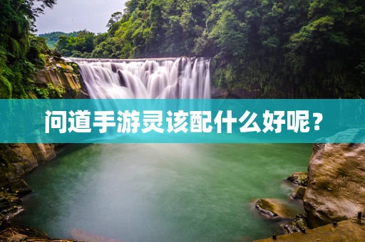问道手游灵该配什么好呢？