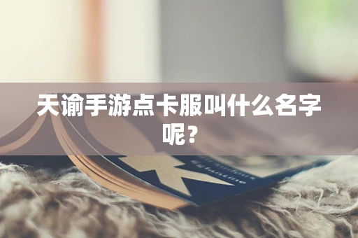 天谕手游点卡服叫什么名字呢？