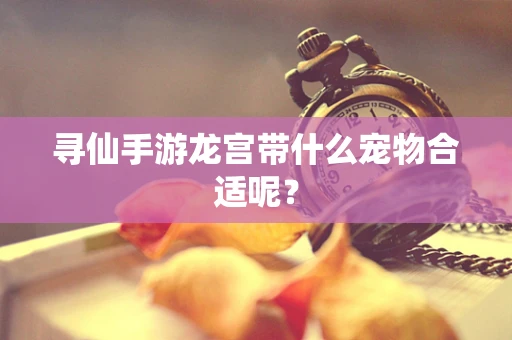 寻仙手游龙宫带什么宠物合适呢？