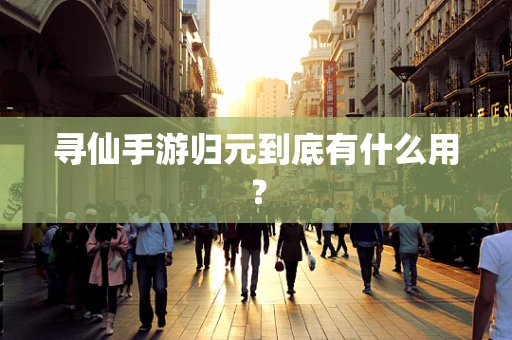 寻仙手游归元到底有什么用？