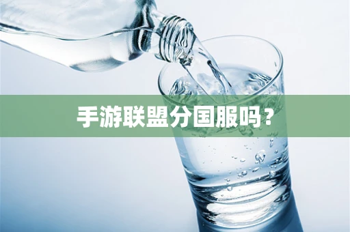 手游联盟分国服吗？