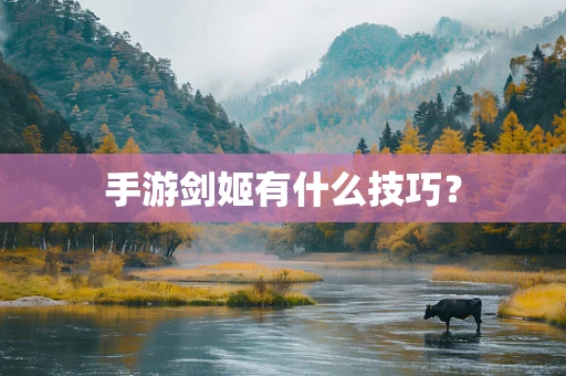 手游剑姬有什么技巧？