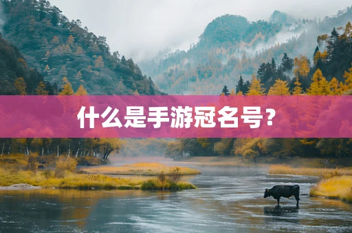 什么是手游冠名号？